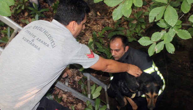 İtfaiye ekibi kilometrelerce yürüyüp kuyuya düşen köpeği kurtardı