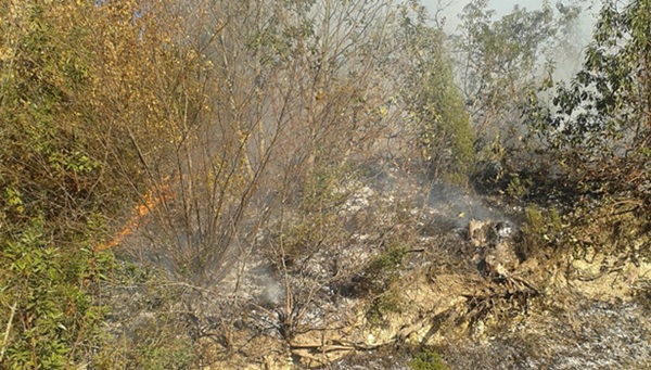 Ereğli´de meşelik alandaki yangını orman işçileri müdahale etti