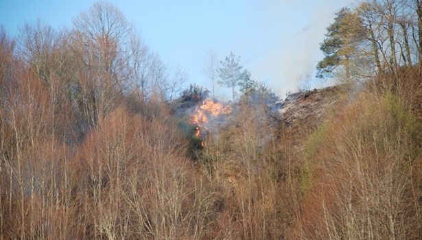 Alaplı´da 5 hektar ormanlık alan yandı