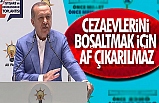 Erdoğan: Cezaevlerini boşaltmak için af çıkarılmaz