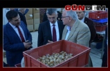 Vali Erdoğan Bektaş, salyangoz fabrikasını gezdi