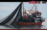 Batı Karadenizli balıkçılar “paydos“ dedi