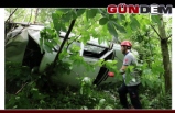 Zonguldak yolunda kaza; 1 ölü 5 yaralı