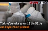 Türkiye'de vaka sayısı 13 bin 531'e, can kaybı 214'e yükseldi...