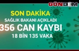 Türkiye'de 356 can aldı, vaka sayısı 18 bini aştı