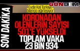 Türkiye'de toplam vaka 23 bin 934'e, can kaybı 501'e ulaştı