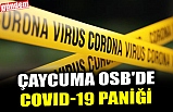 ÇAYCUMA OSB'DE COVID-19 PANİĞİ