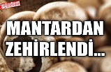 MANTARDAN ZEHİRLENDİ...