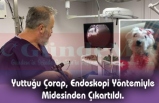 Zonguldak'ta İlk Kez Uygulanan Sistemle Sağlığına Kavuştu