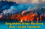 Zonguldak'ta Orman Alanlarına Giriş – Çıkışlar Yasaklandı