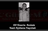  Elif Sinan'ın "İntihar Ettiğini Gösteren Kamera Kaydı Bulunmamaktadır".