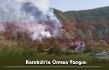 Karabük'te Orman Yangını