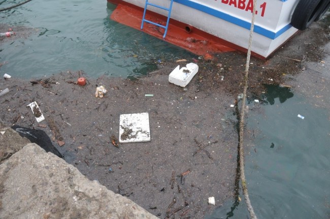 Karadeniz çöpleri limana taşıdı