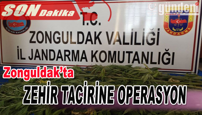 Zonguldak'ta Zehir Tacirine Operasyon