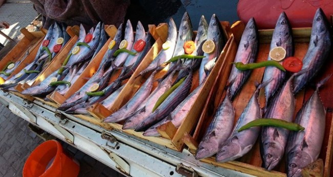 Akçakoca'da Balık tezgahları şenlendi