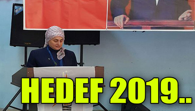 HEDEF 2019..