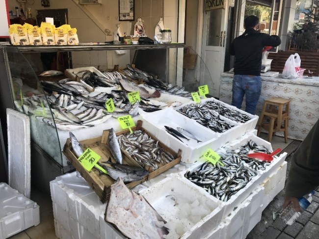 Balıkçı tezgahlarında hamsi kilosu 20 liraya kadar satılıyor