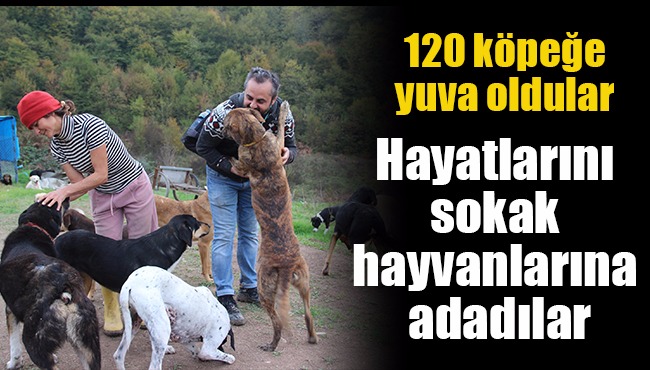 120 köpeğe yuva oldular Hayatların sokak köpeklerine adadılar