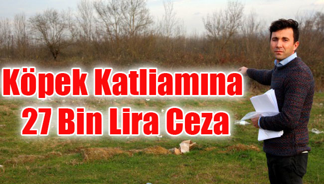 Köpek Katliamına 27 Bin Lira Ceza