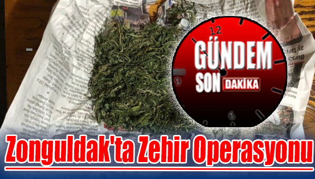 Zonguldak'ta Zehir Operasyonu