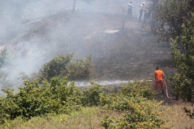 Düzce'de fındık bahçesi yandı