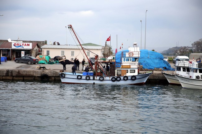 Karadenizli Balıkçılar havaların soğumasını bekliyor