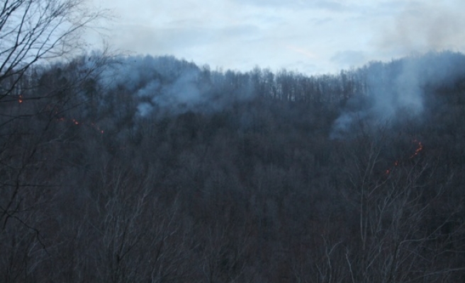 Orman yangınına güçlükle müdahale edildi