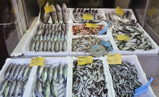 Balık fiyatları dudak uçuklatıyor
