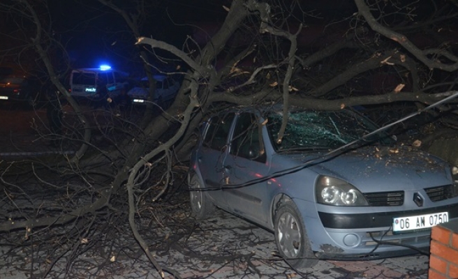 Üç öğrencinin bulunduğu otomobillerin üzerine ağaç devrildi