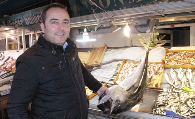 Ereğli´de balıkçıların ağına 40 kiloluk torik takıldı