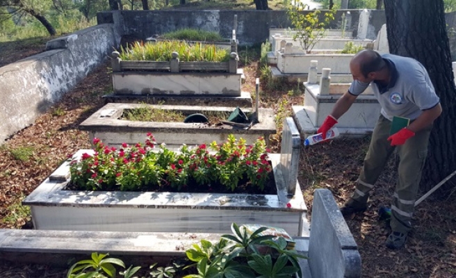 Belediyeden şehit ve gazi mezarlıklarına bakım hizmeti