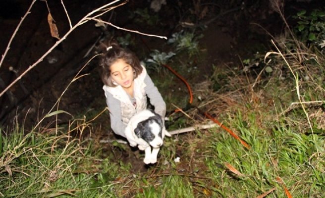 Minik kız, mahsur kalan 3 yavru köpeği kurtardı