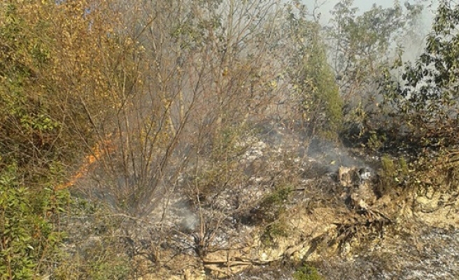 Ereğli´de meşelik alandaki yangını orman işçileri müdahale etti