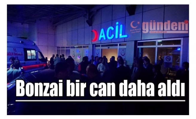 Bonzai bir can daha aldı