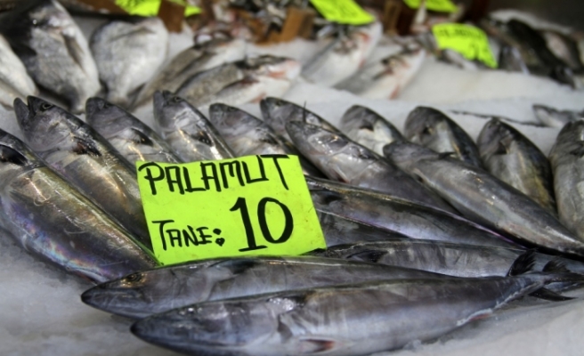 Kurban Bayramı balık fiyatlarını düşürdü