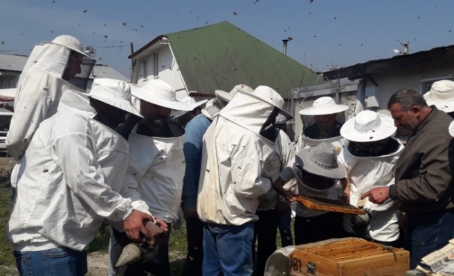 DAGEM Bölge arıcılarına ana arı ve arı sütü üretimini öğretti
