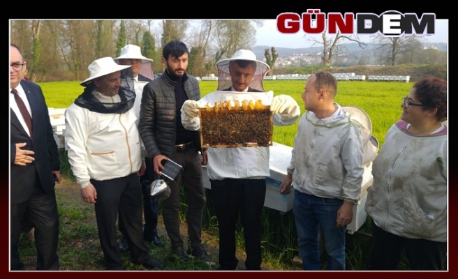 Vali Bektaş, Çaycuma'da tarım ve hayvancılık tesislerini inceledi