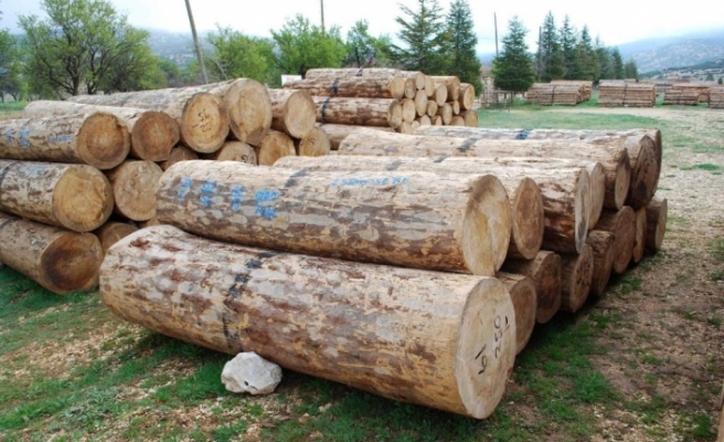 Gölyaka’da bin 556 metreküp orman emvali satıldı