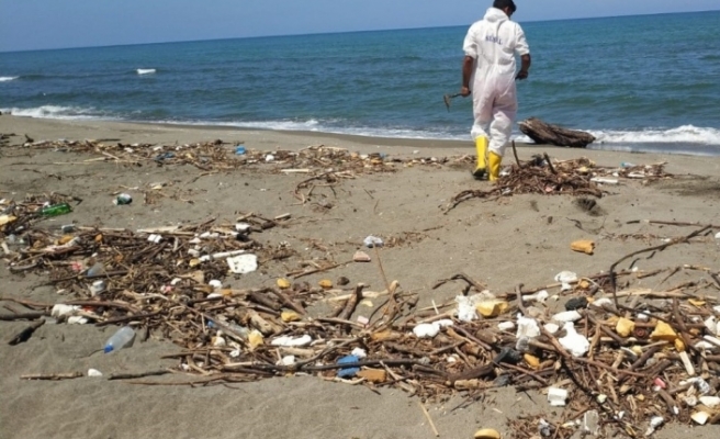 Selin Karadeniz kıyılarına getirdiği atıklar temizleniyor