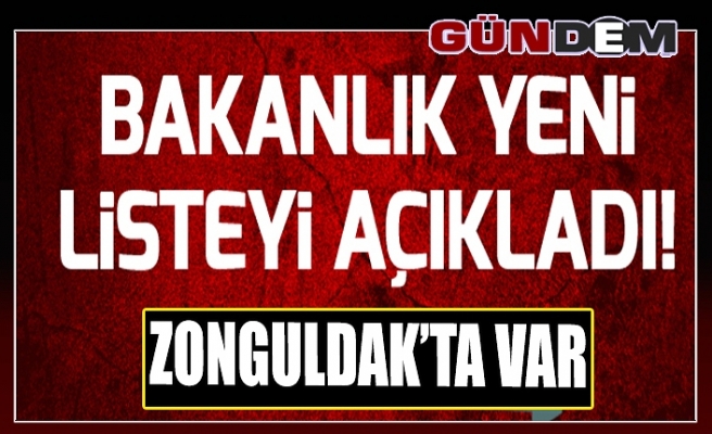Bakanlık hileli ürün listesini ifşa etti...Zonguldak'ta var!