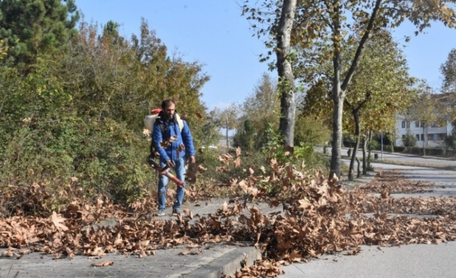 Belediyeden sonbahar temizliği