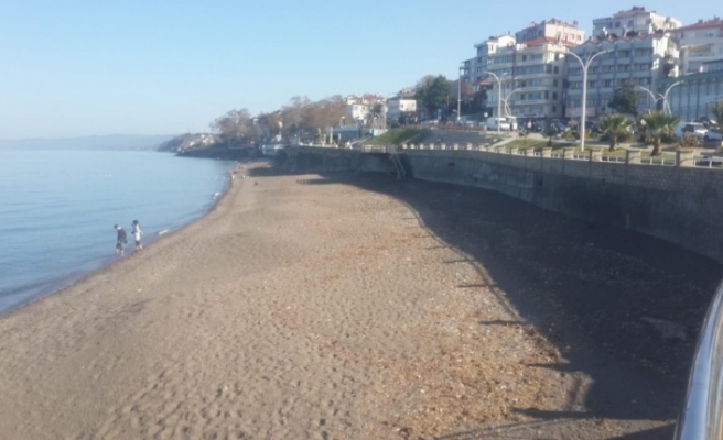 Akçakoca’da plaj temizliği yapıldı