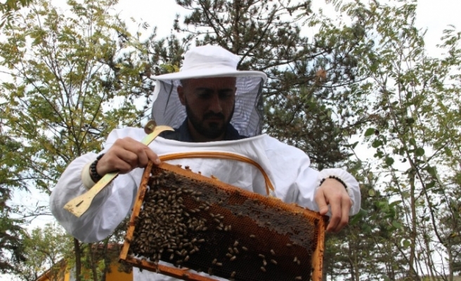 Okul harçlıkları arılardan