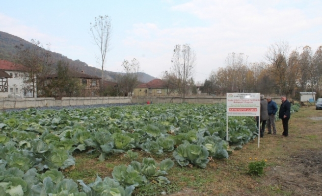 Düzce Üniversitesi’nde tarım paneli düzenlenecek