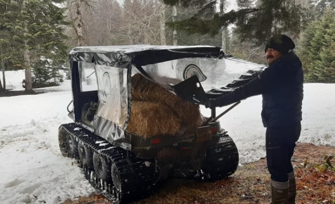 Düzce’de kış boyunca yaban hayvanlarına 10 ton yem bırakıldı