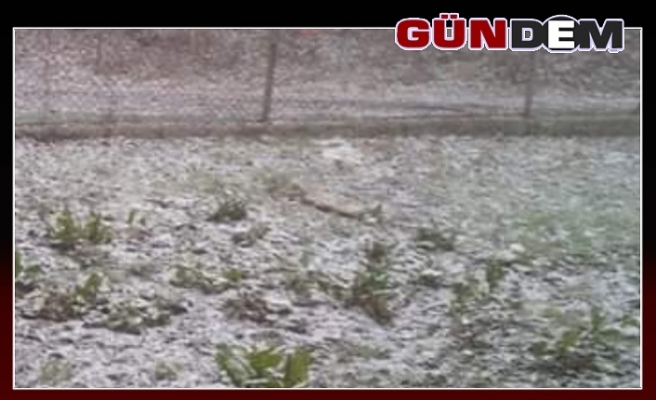 Zonguldak'ın yüksek kesimlerinde kar yağışı