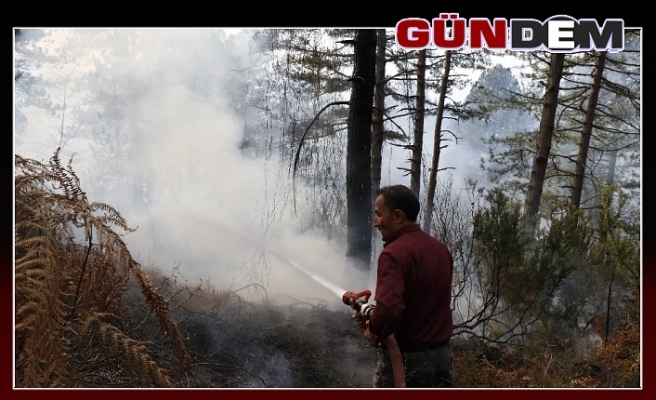 Zonguldak’ta orman yangını...