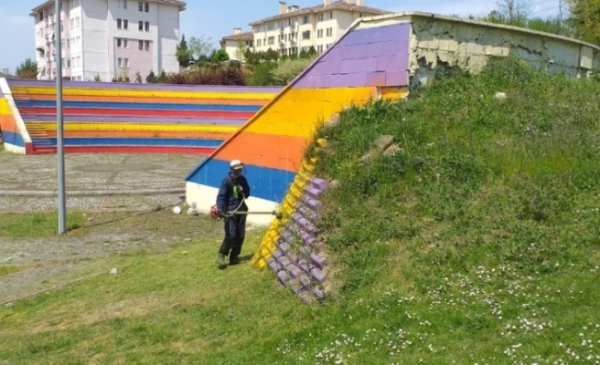 Düzce Belediyesi çim biçme çalışmaları başlatıldı
