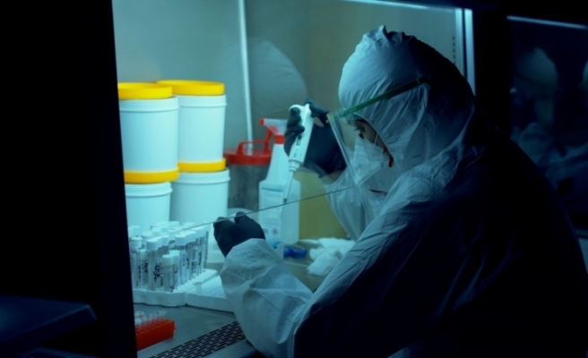 Düzce Üniversitesi’nde korona virüs testleri yapılıyor