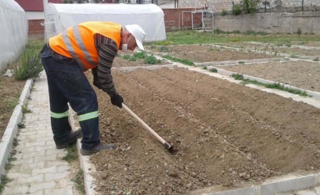 Safranbolu Belediyesi tarımsal çalışmaları sürdürüyor
